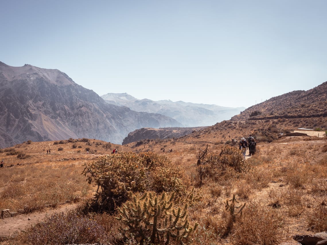 Colca Canyon
